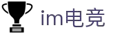 IM(股份有限公司)电竞-电子竞技平台